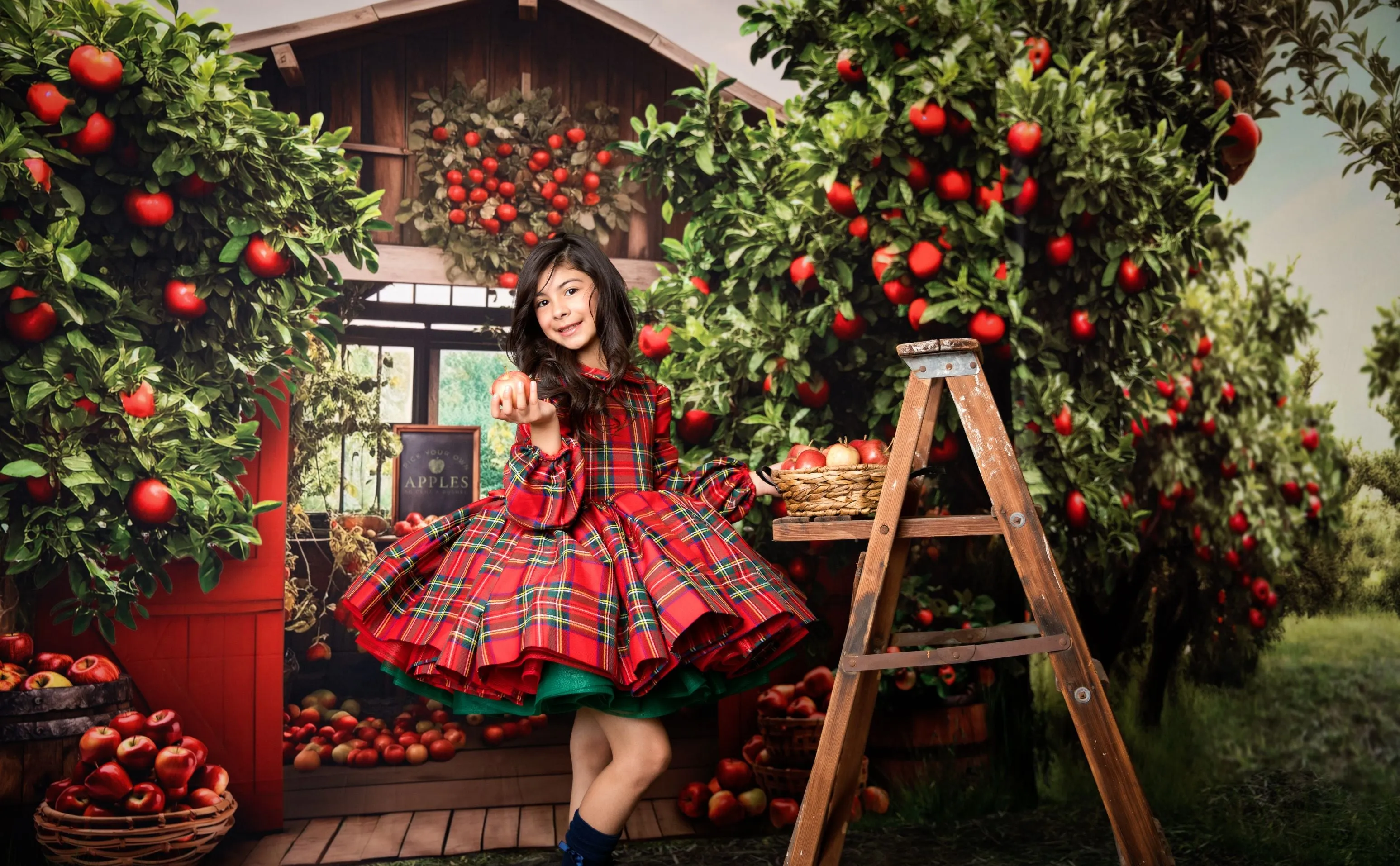 Couture gown rental: "Darling Plaid" Red Vintage Dress Sleeve ( 5 Year - Petite 6 Year)