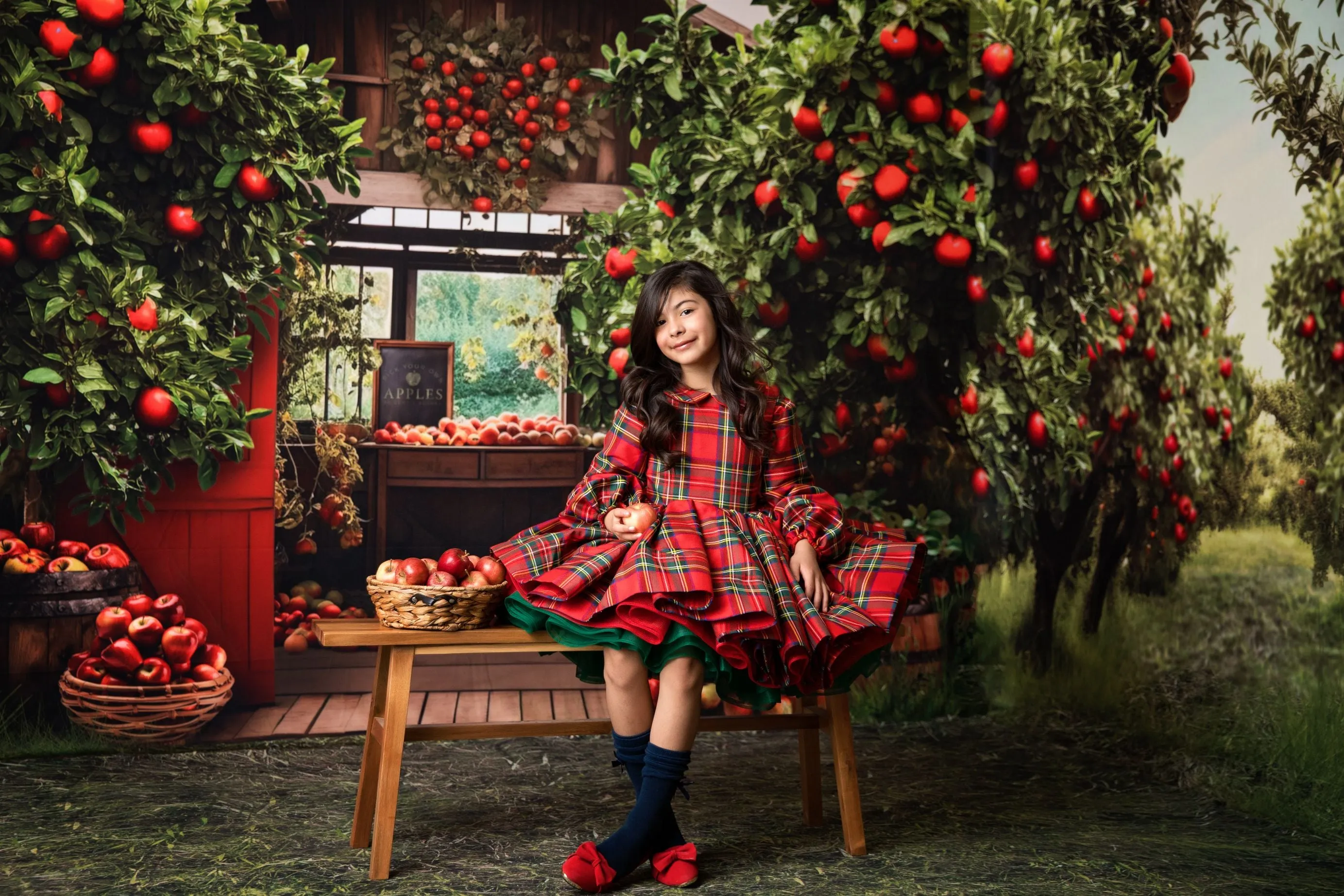 Couture gown rental: "Darling Plaid" Red Vintage Dress Sleeve ( 5 Year - Petite 6 Year)
