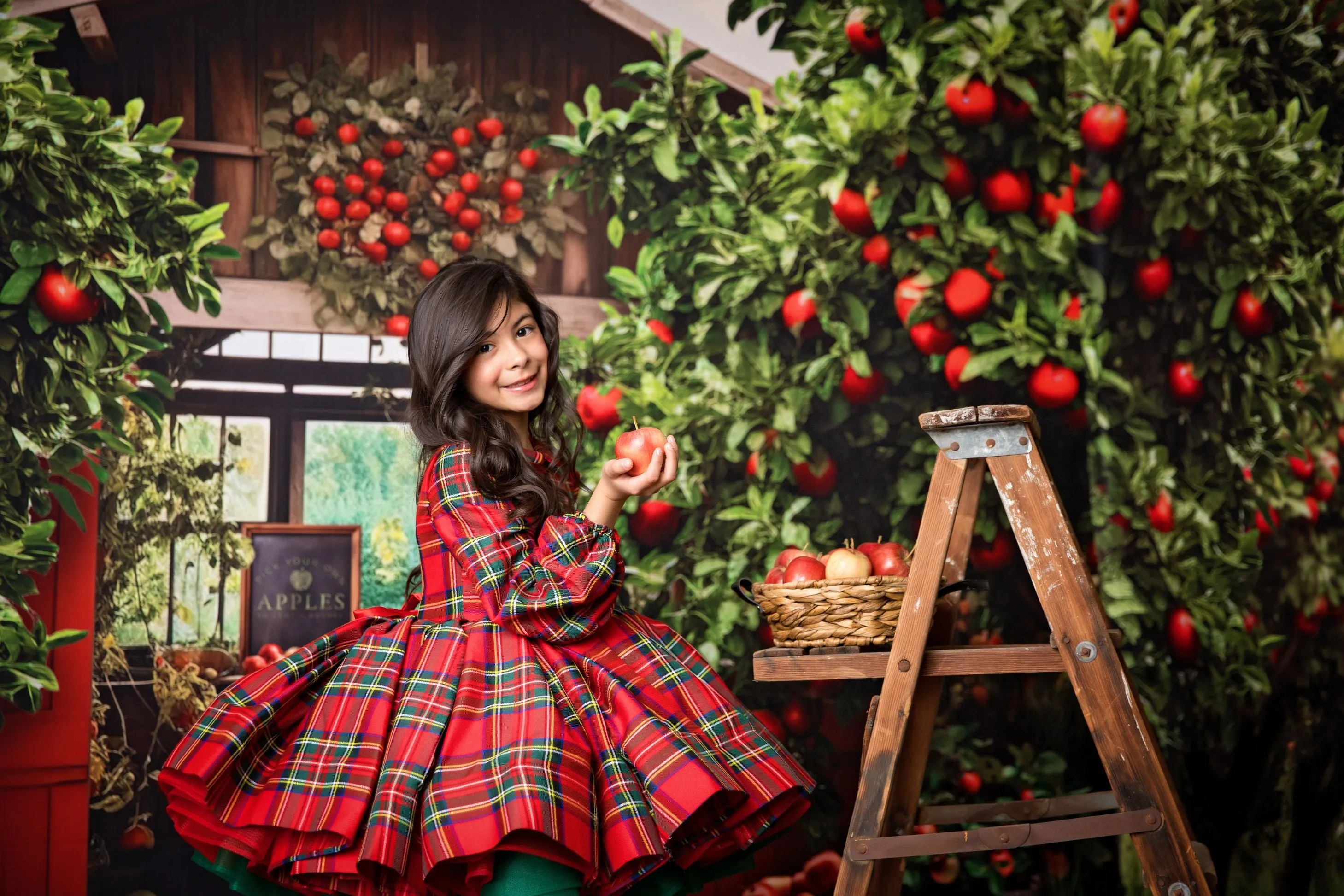 Couture gown rental: "Darling Plaid" Red Vintage Dress Sleeve ( 5 Year - Petite 6 Year)