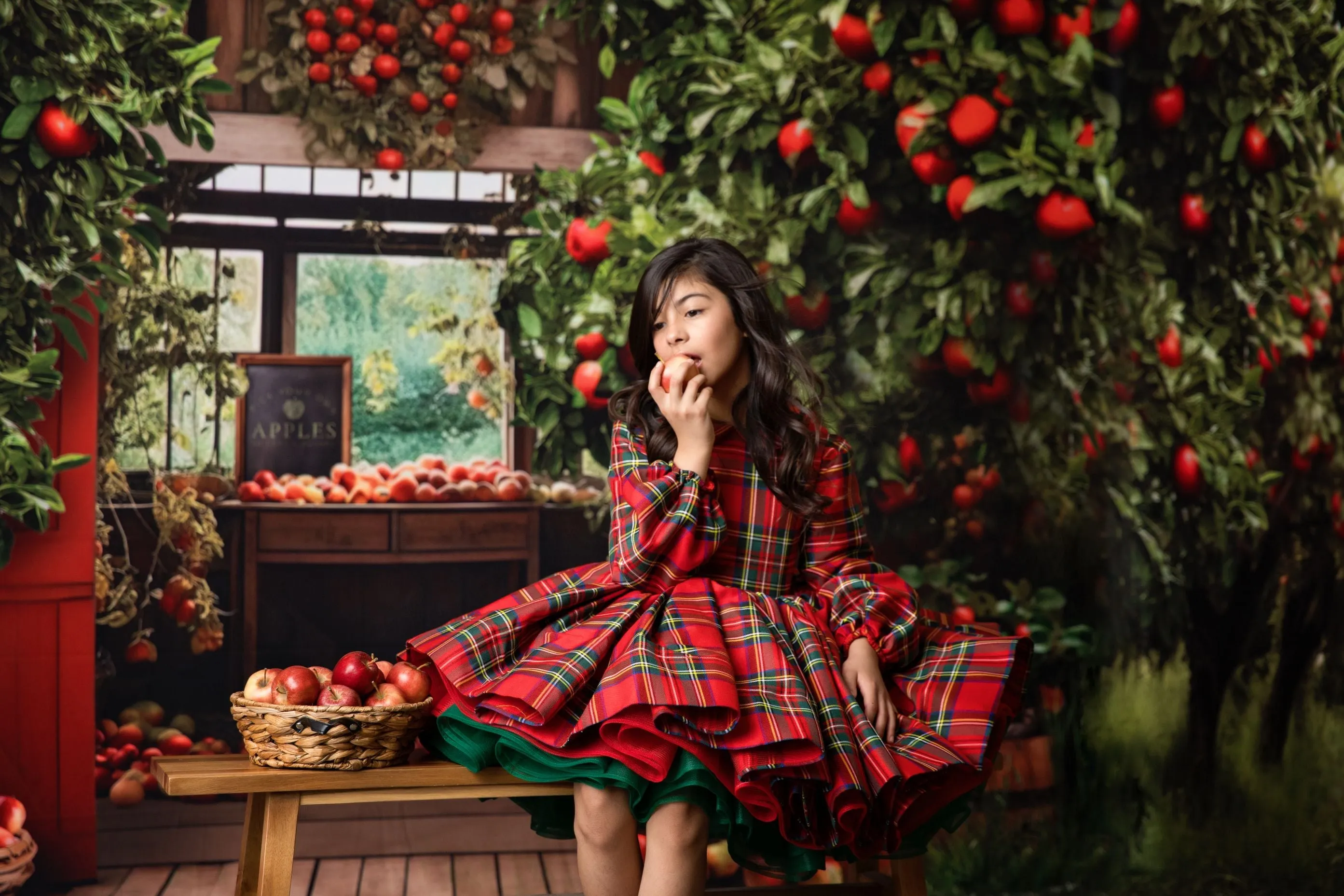 Couture gown rental: "Darling Plaid" Red Vintage Dress Sleeve ( 5 Year - Petite 6 Year)