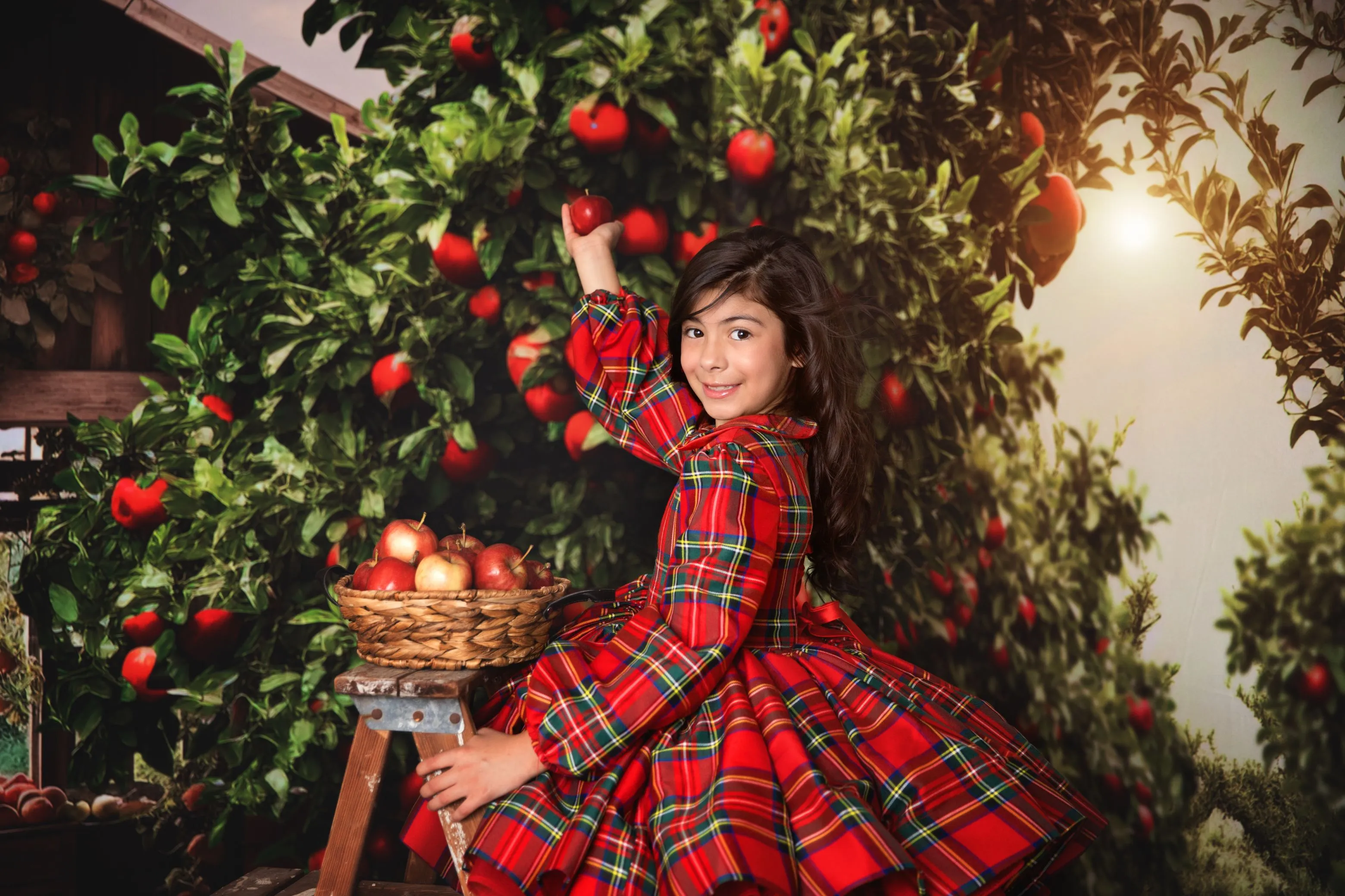 Couture gown rental: "Darling Plaid" Red Vintage Dress Sleeve ( 5 Year - Petite 6 Year)