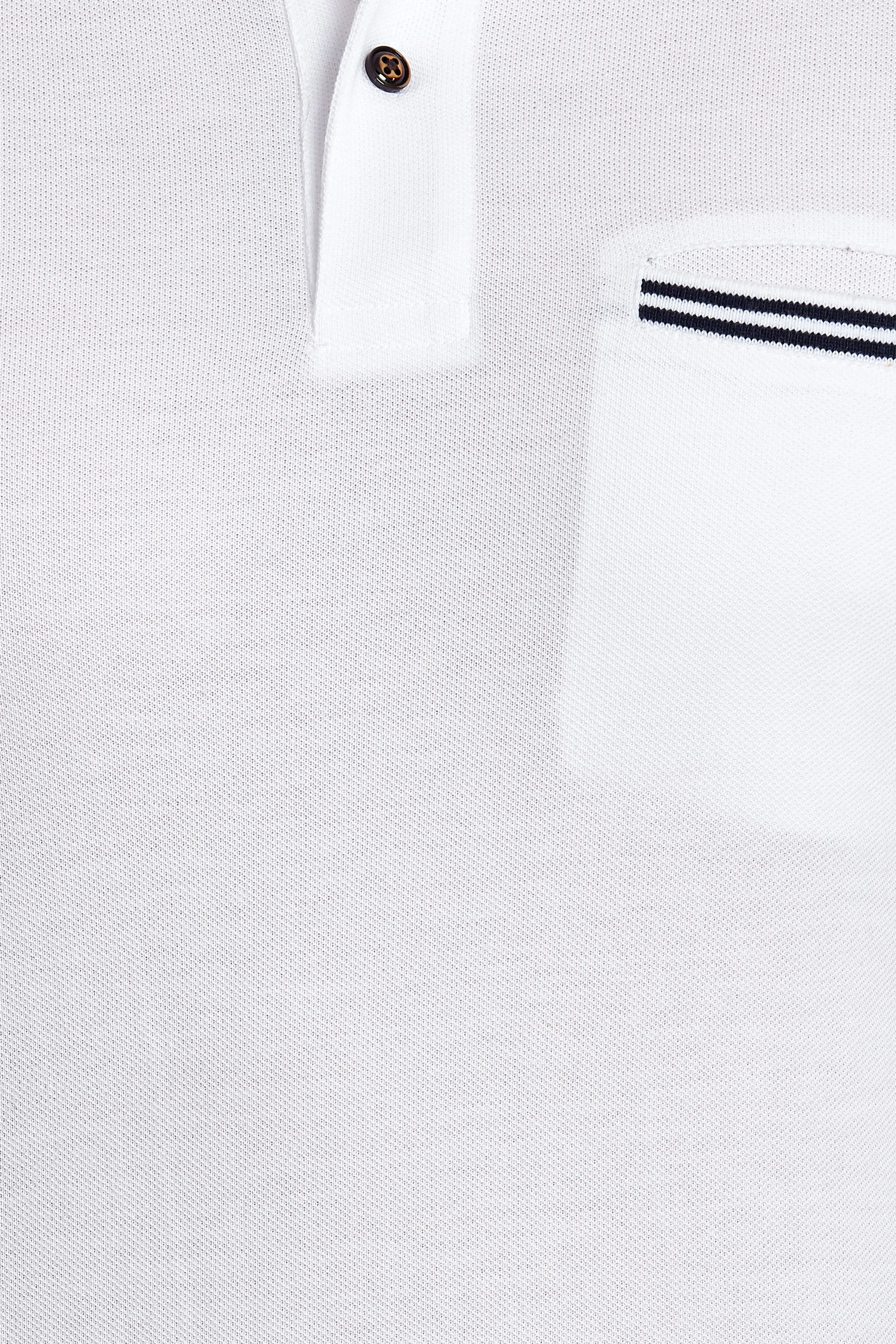 Tipped Collar Solid Polo